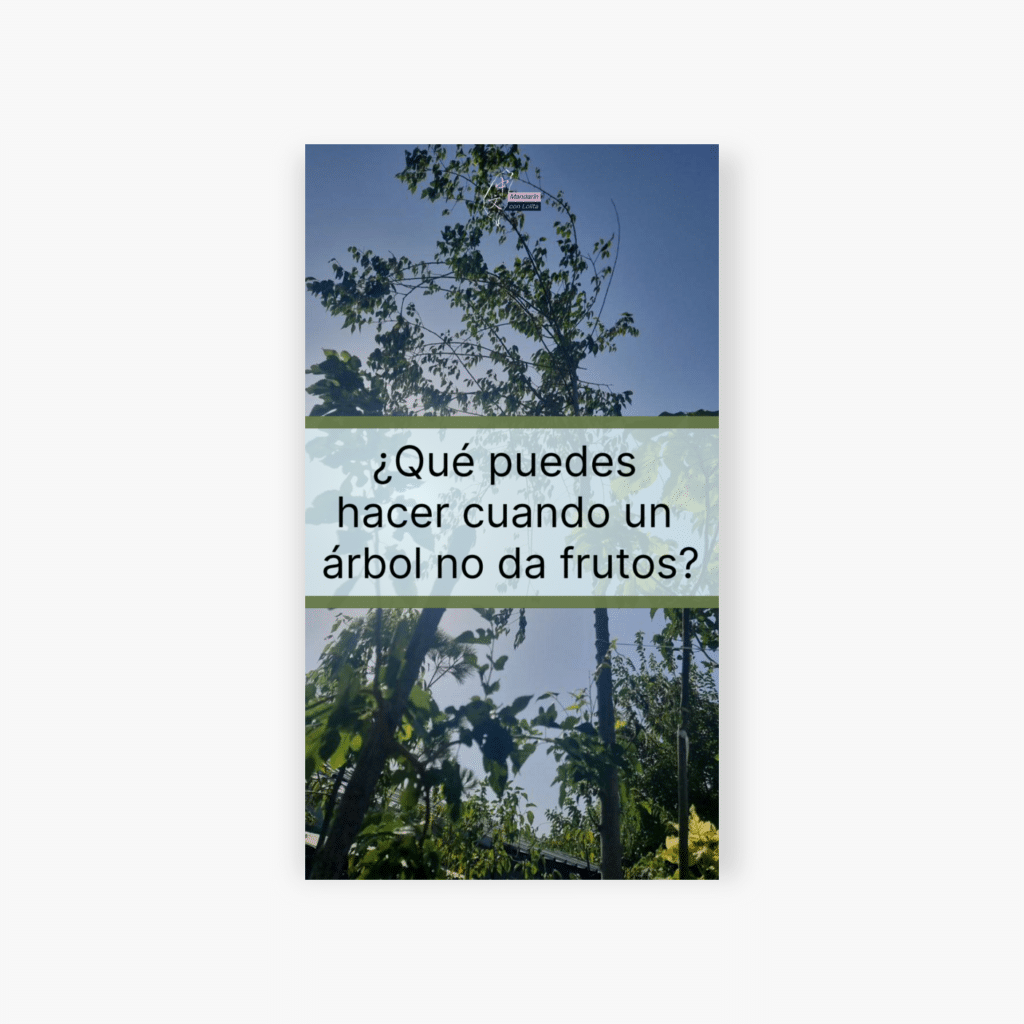 ¿Qué puedes hacer cuando un árbol no da frutos?